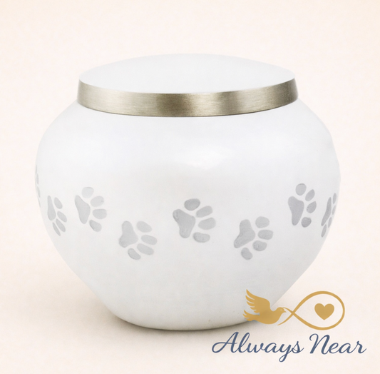 Pearly Paws – Odyssey Pet Cremation Urn (XS)